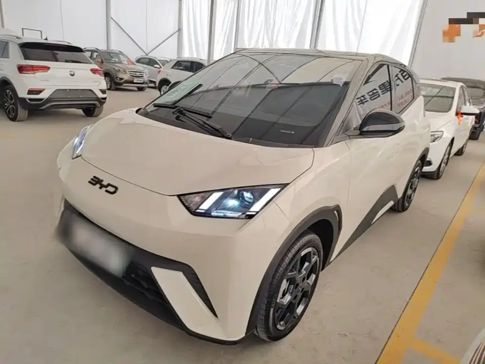 BYD Seagull 305km Freedom 2024