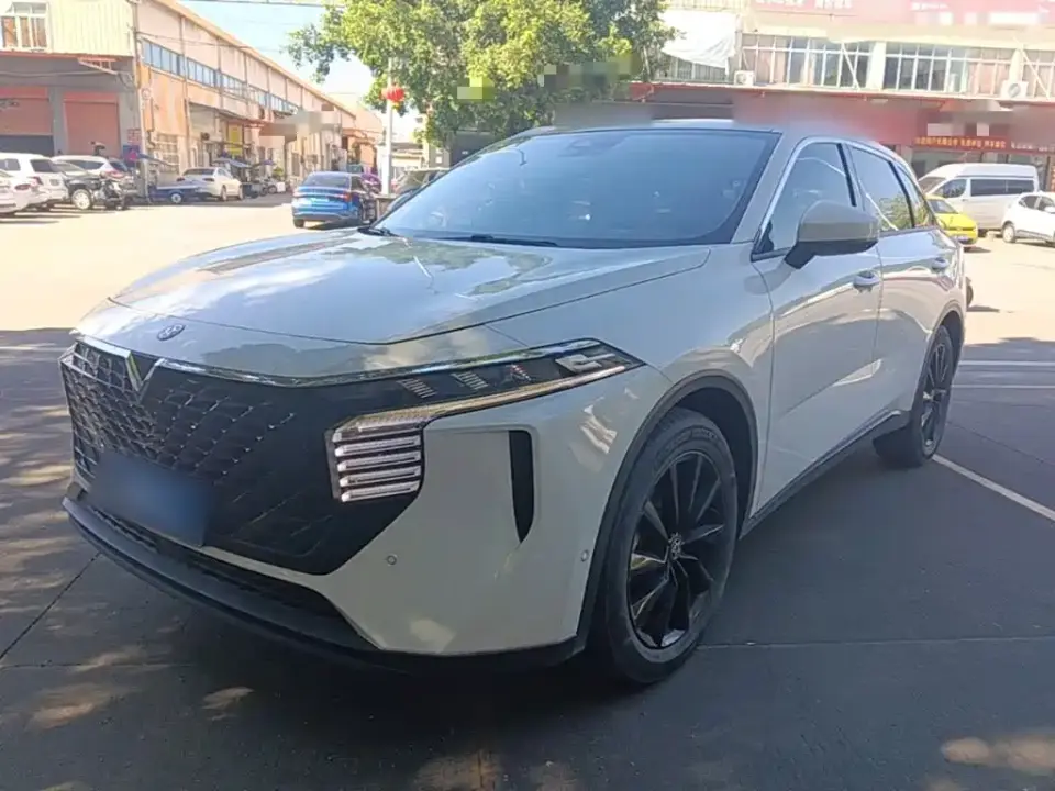 Venucia Big V 260T King Edition 2022