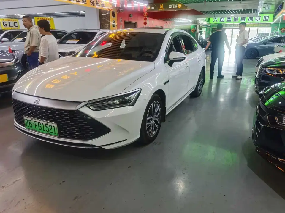 BYD Qin PLUS Glory Edition DM-i 55KM Surpass 2024