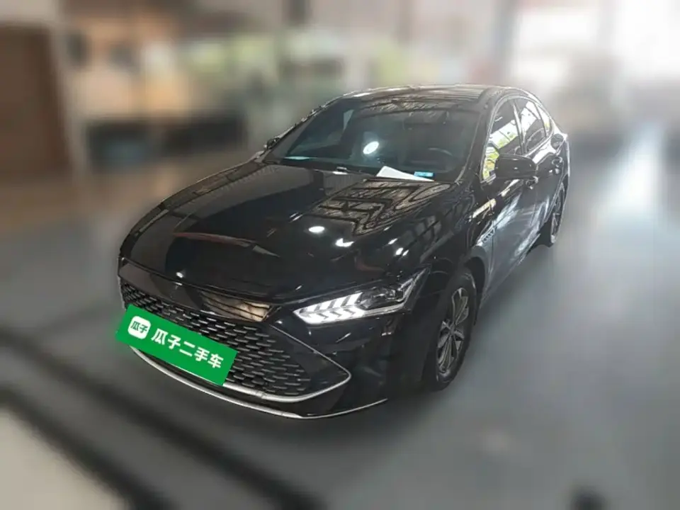 BYD Qin PLUS Champion Edition DM-i 55KM Leading 2024