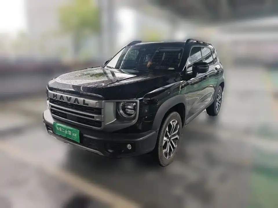 Haval Big Dog 1.5T DCT Border Collie Edition 2023