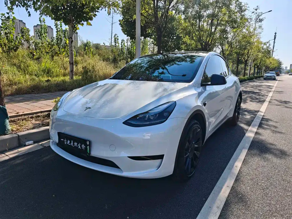 Tesla Model Y Rear-Wheel Drive Version 2024