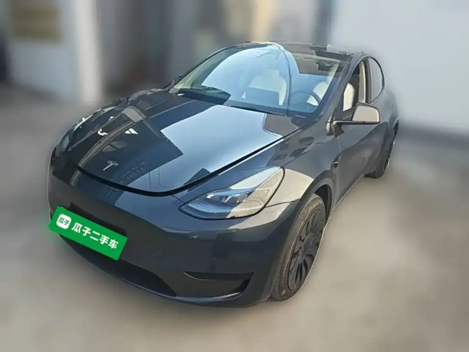Tesla Model Y Rear-Wheel Drive Version 2024