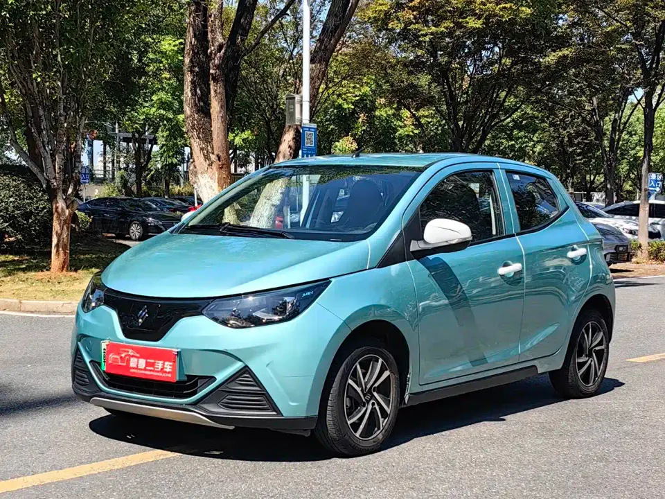 JMCG New Energy Little Kirin Model Lucky Edition 201km Luxury 2023