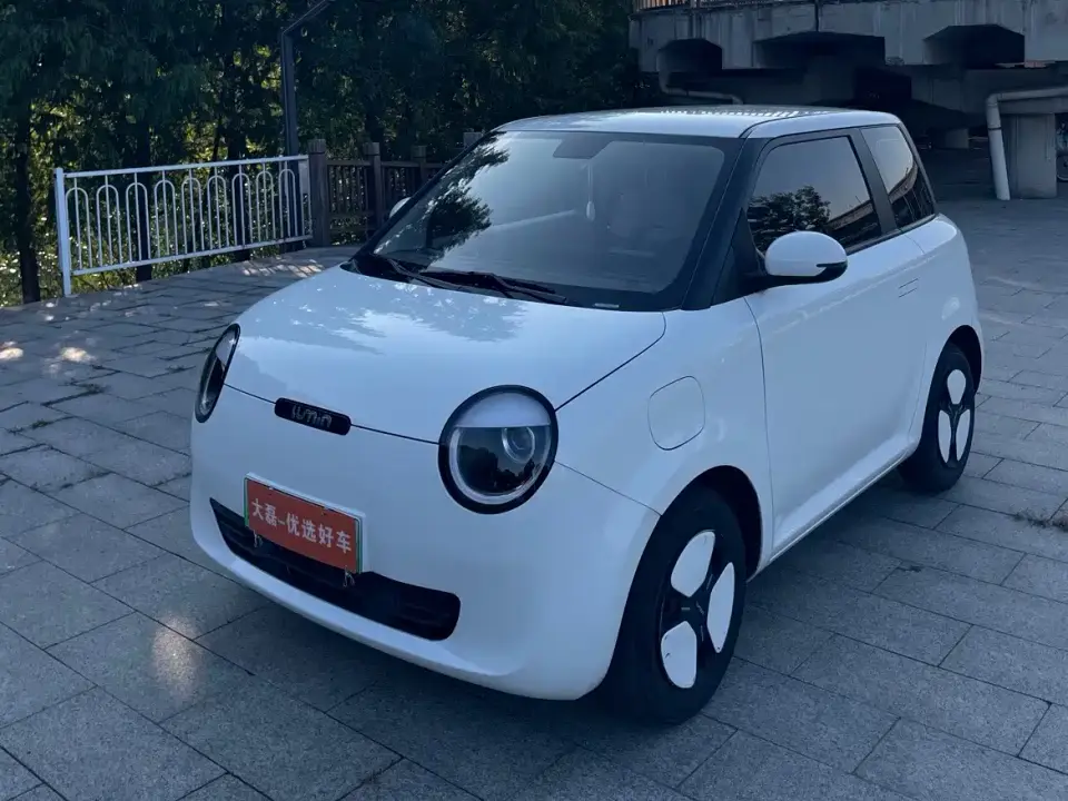 Changan Qiyuan Changan Lumin Model 205km Fragrant Edition 2024