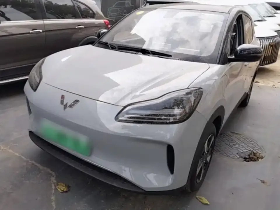 Wuling Motors Wuling Binguo PLUS Model 330km 5-Seater 2026