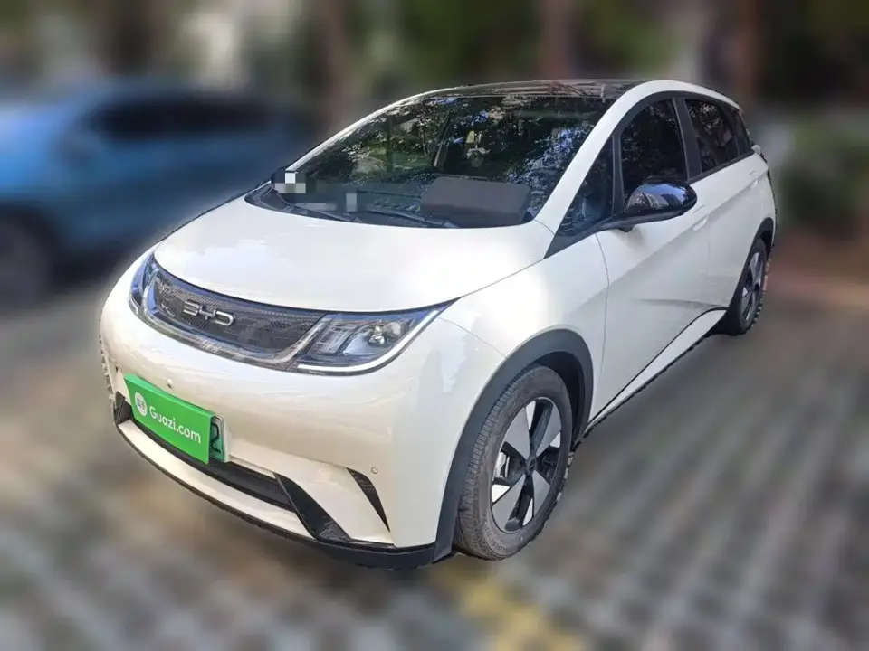 BYD Dolphin 420km Fashion Edition 2023