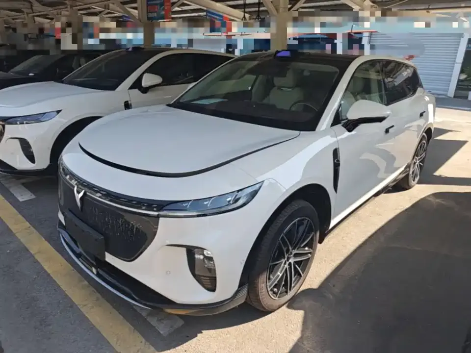 Voyah Auto Voyah Zhiyin Base 2025