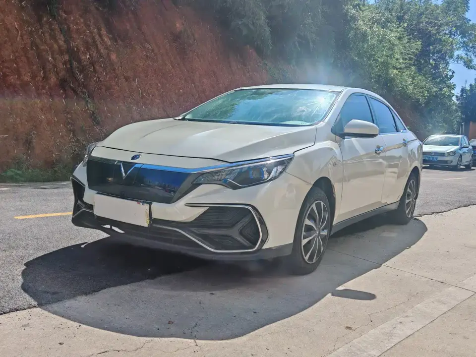 Venucia D60EV Standard Range Comfort Edition 2020