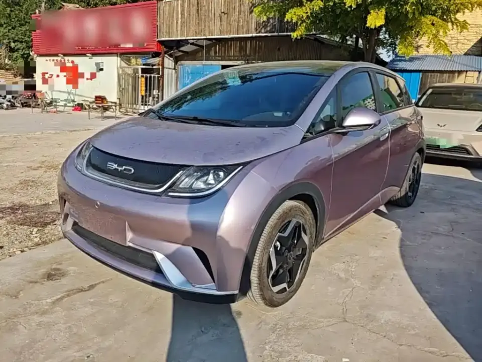 BYD Dolphin Model 405km Fashion Edition 2022