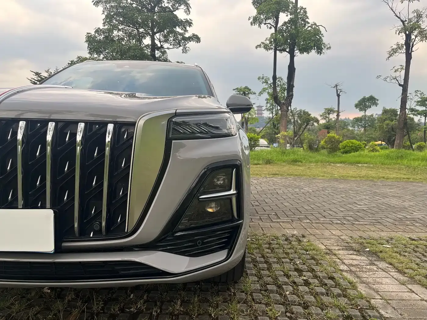 Hongqi HS5 2.0T Flag Enjoy Pro Edition 2023 — фото 7