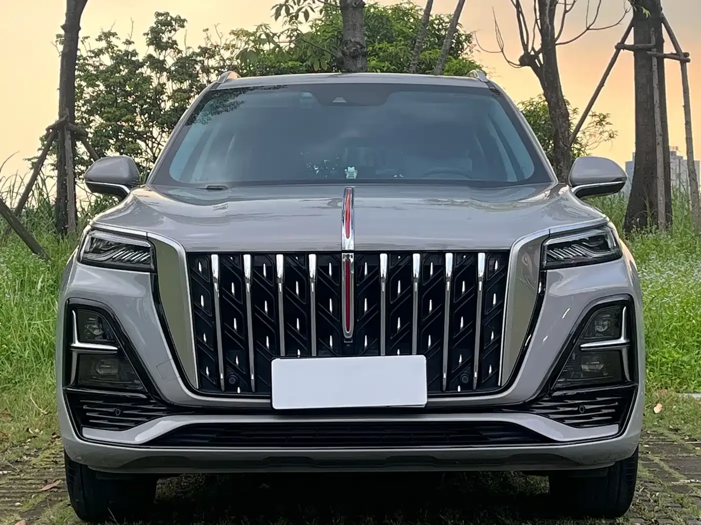 Hongqi HS5 2.0T Flag Enjoy Pro Edition 2023 — фото 2