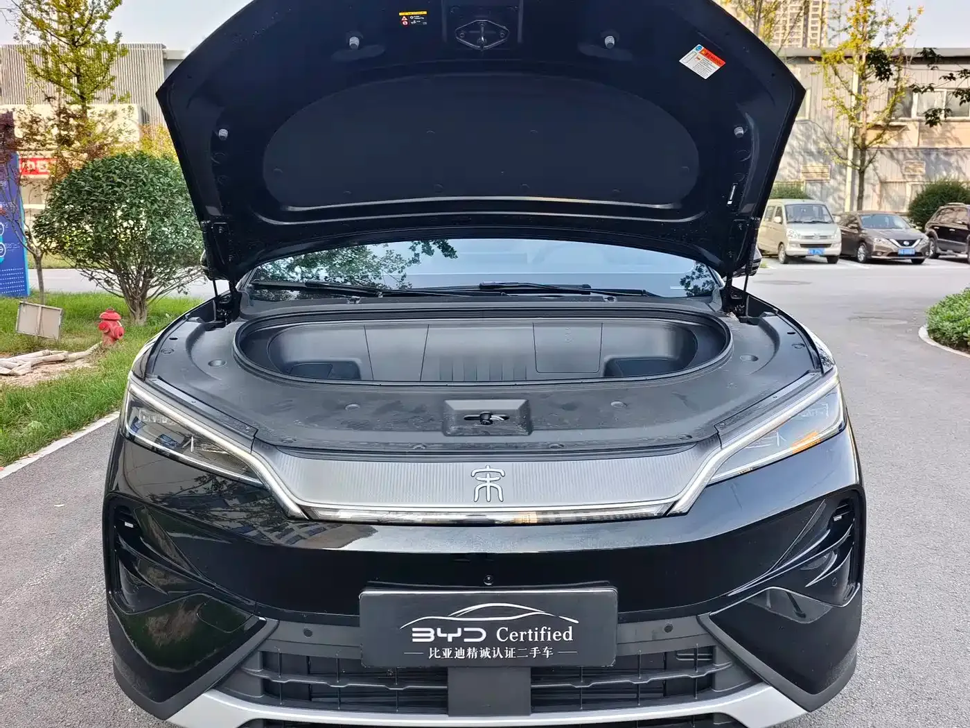 BYD Song Ultra Model Pure Electric 270kW 2026 — фото 2