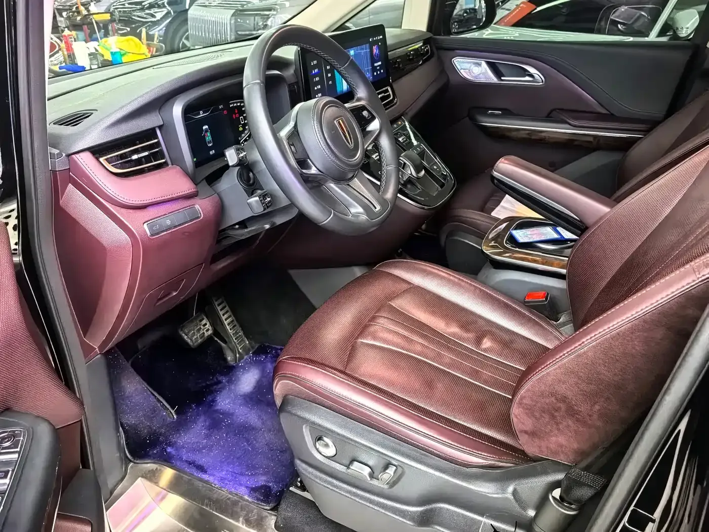 Hongqi HQ9 2.0T Smart Connect Flag Smooth Edition 2023 — фото 6
