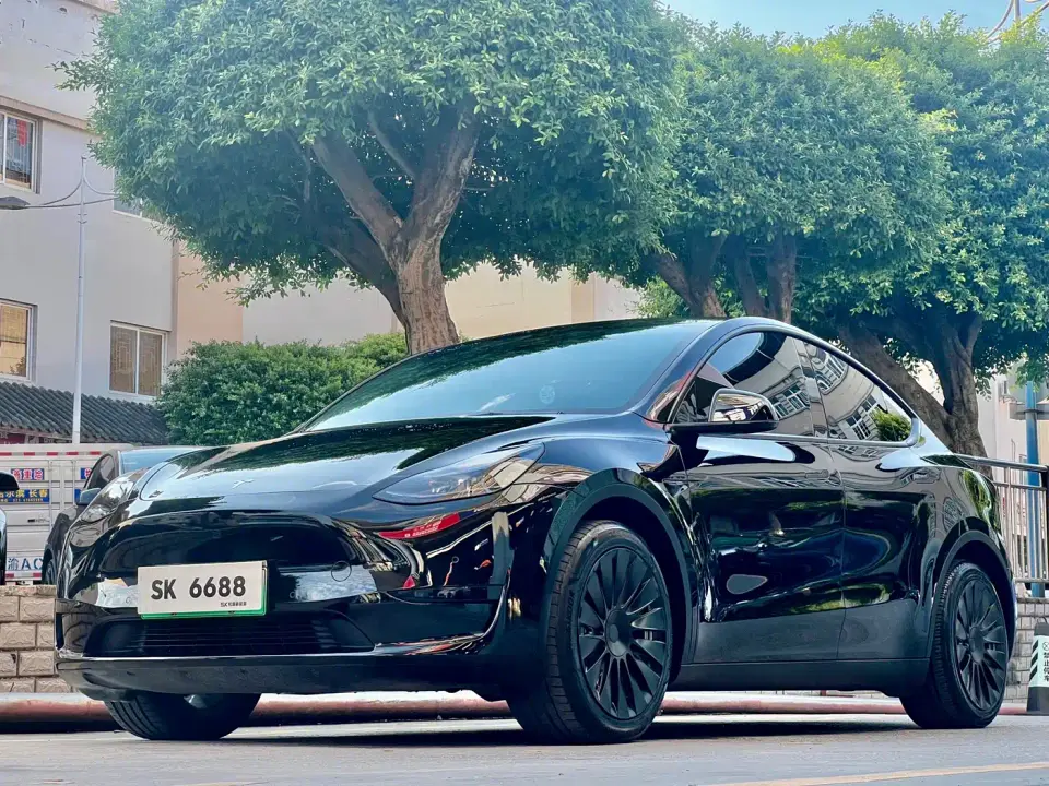 Tesla Model Y Rear-Wheel Drive Version 2022