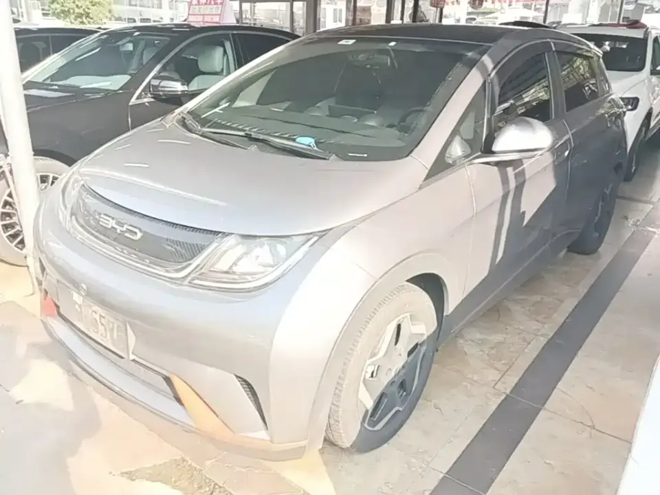 BYD Dolphin Model 405km Fashion Edition 2023