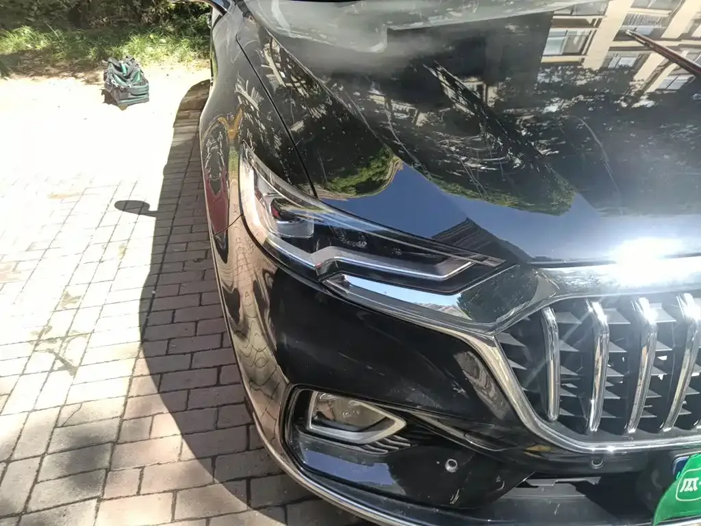 Hongqi HS5 2.0T Smart Connect Enjoy Edition 2021 — фото 7