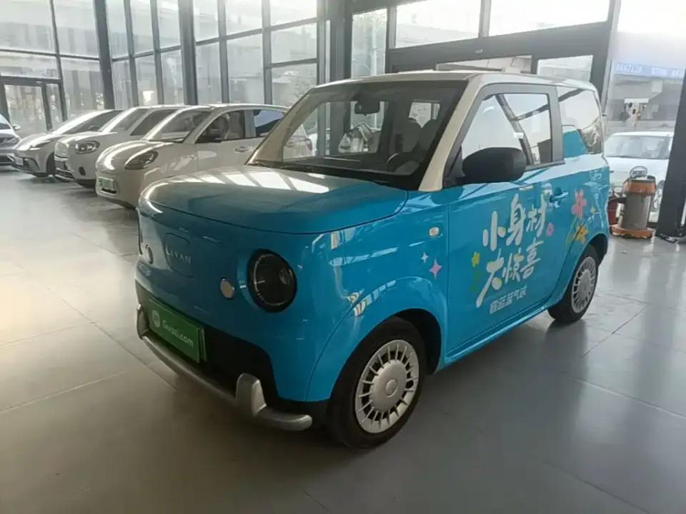 Ruilan Auto Ruilan Blue Elf Base Model 2025