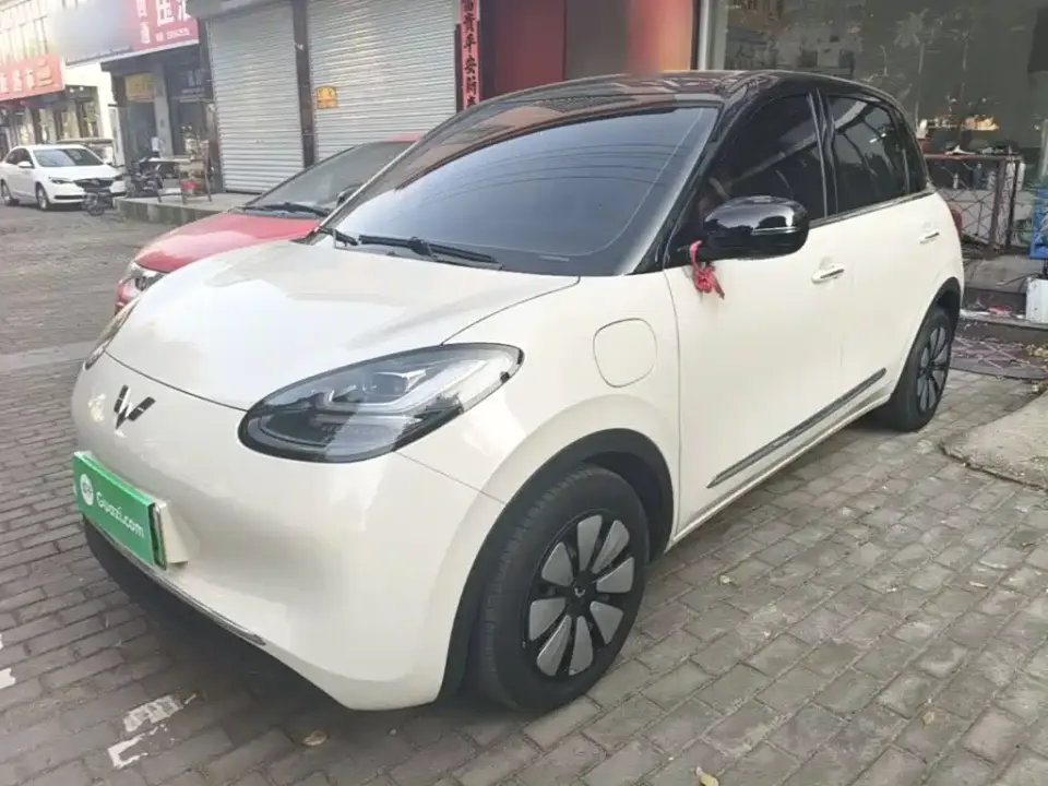 Wuling Motors Wuling Bingo 333km Comfort Edition 2024