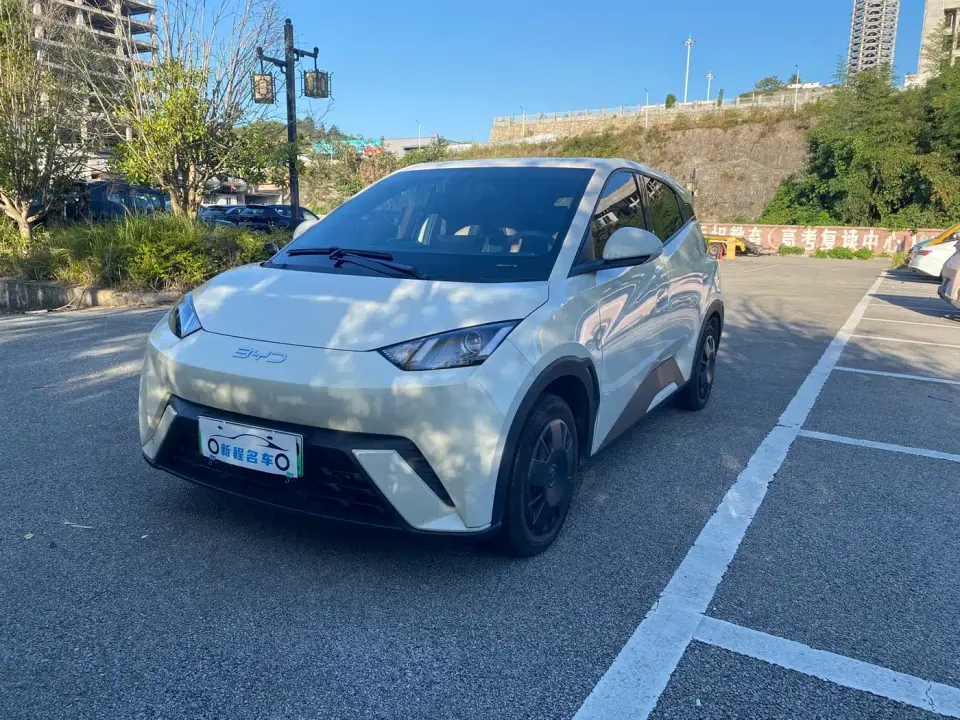 BYD Seagull Glory Edition 305km Vitality Edition 2024