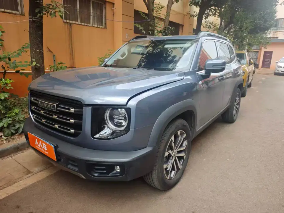 Haval Big Dog 1.5T DCT 2WD Border Collie - Wangcai Edition 2021