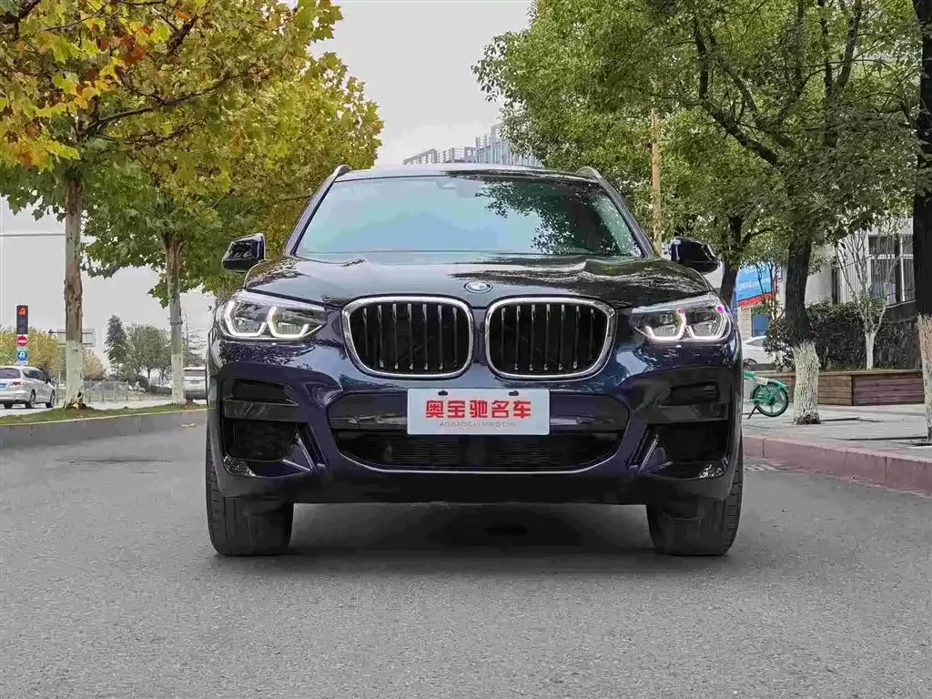 BMW X3 xDrive25i M Sport Package 2020 — фото 2