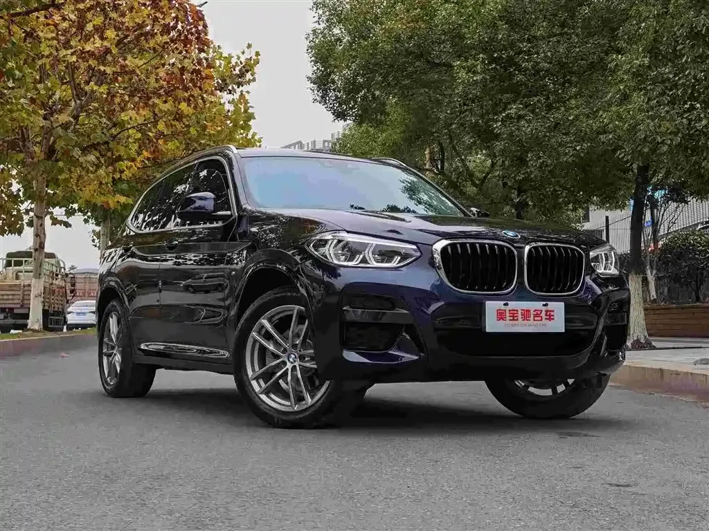 BMW X3 xDrive25i M Sport Package 2020 — фото 3