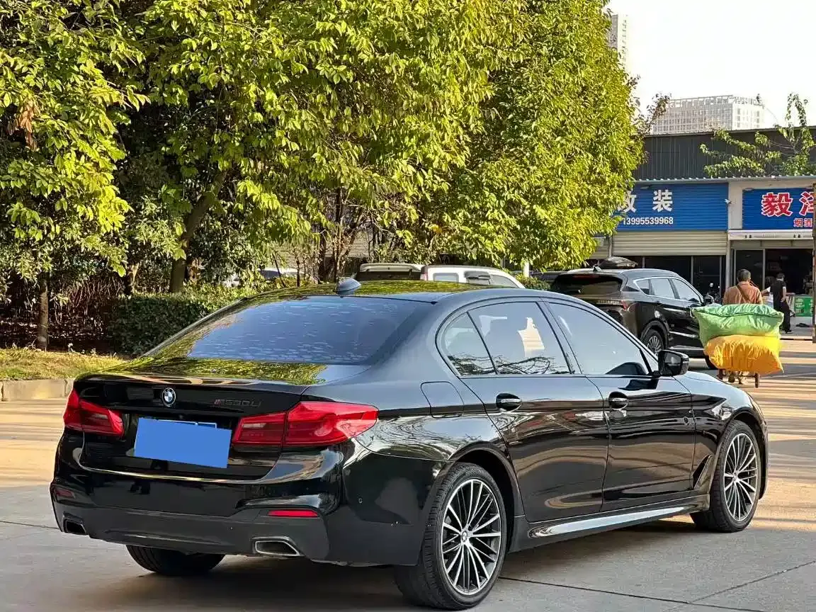 BMW 5 Series 530Li Leading M Sport Package 2019 — фото 7