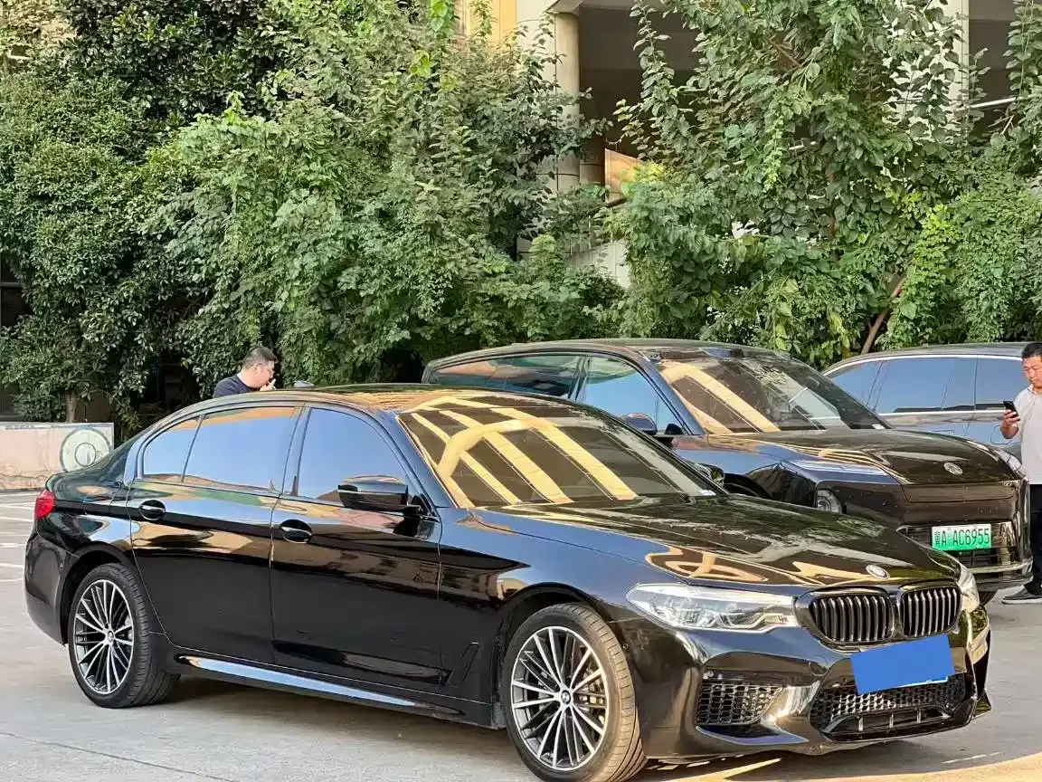 BMW 5 Series 530Li Leading M Sport Package 2019 — фото 2