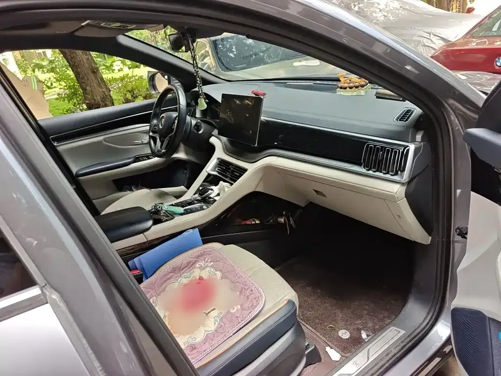 BYD Song PLUS PHEV DM-i 110KM Flagship PLUS 2023 — фото 18
