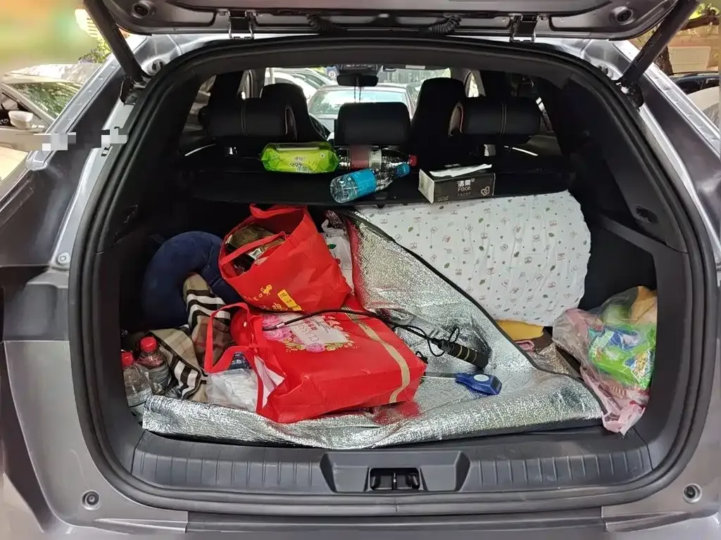 BYD Song PLUS PHEV DM-i 110KM Flagship PLUS 2023 — фото 10