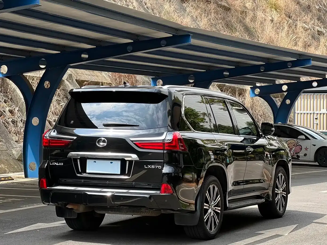 Lexus LX 570 Peak Special Edition 2020 — фото 8
