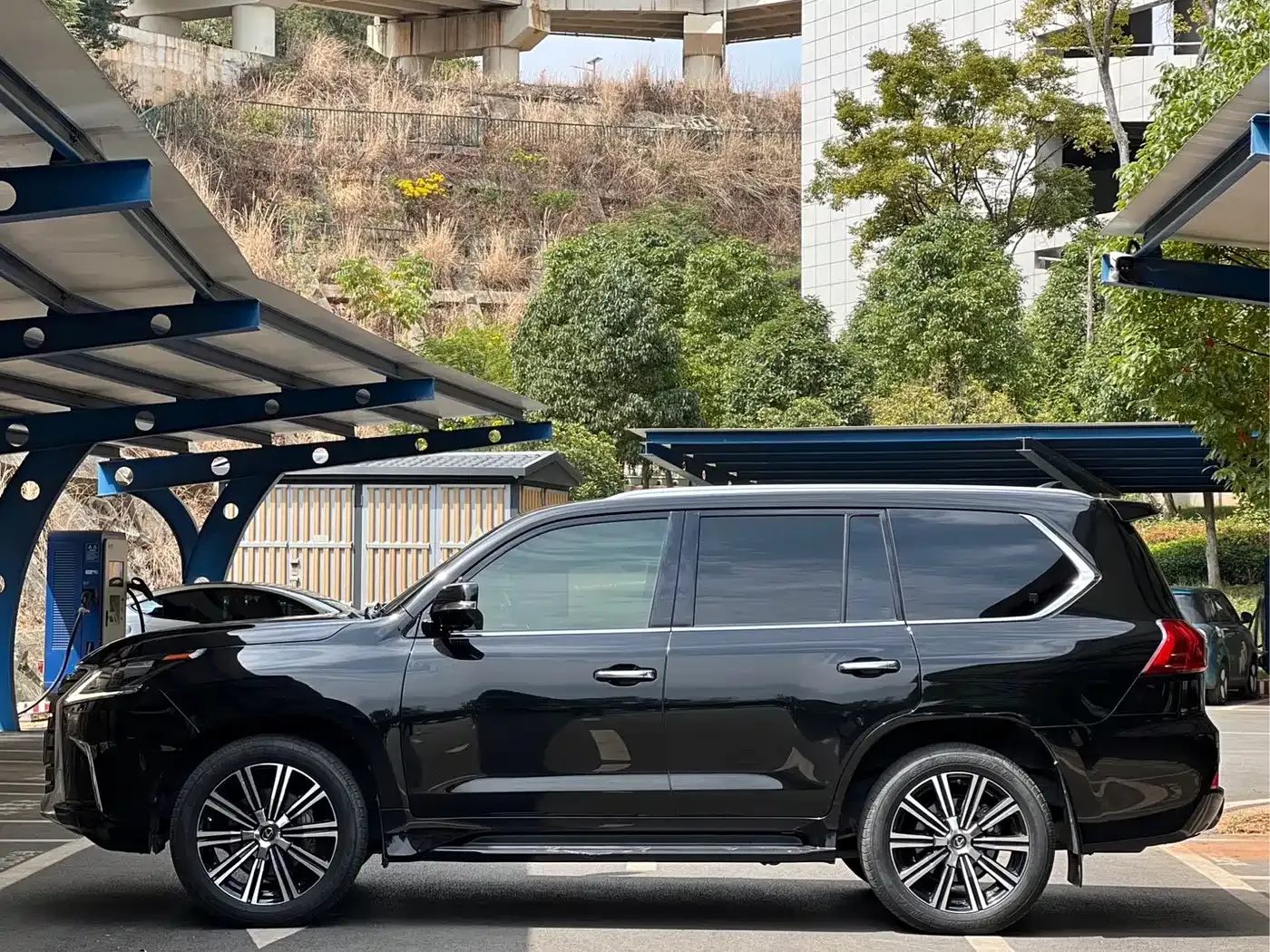 Lexus LX 570 Peak Special Edition 2020 — фото 4