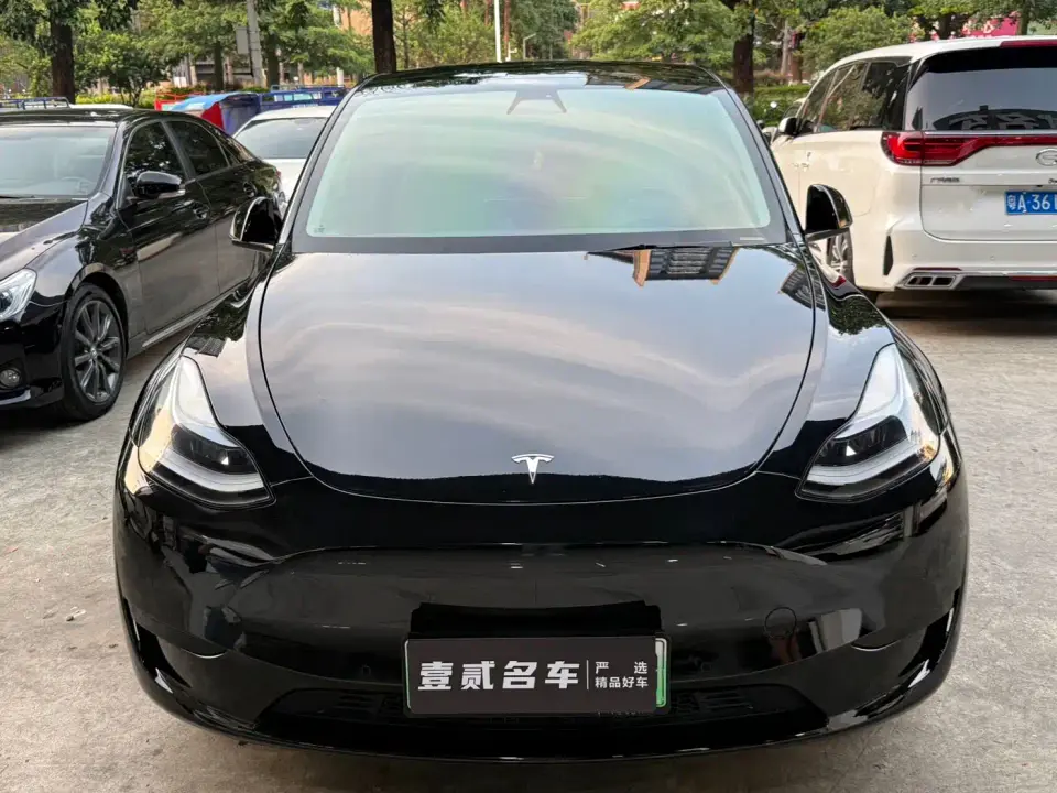 Tesla Model Y Rear-Wheel Drive Version 2022
