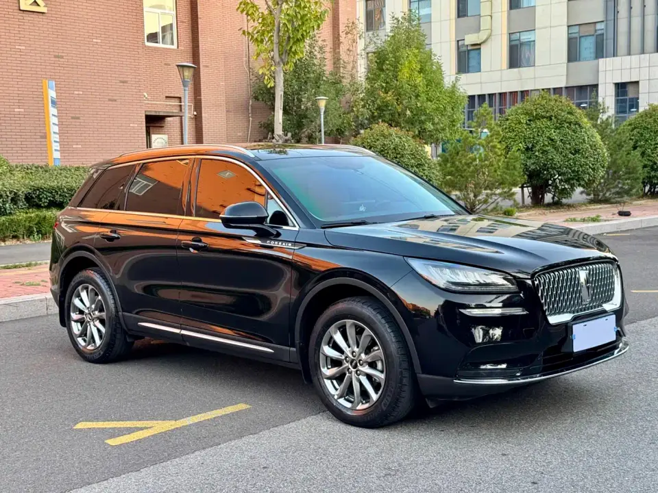Lincoln Adventurer 2.0T 2WD Premium Enjoyment Edition 2020
