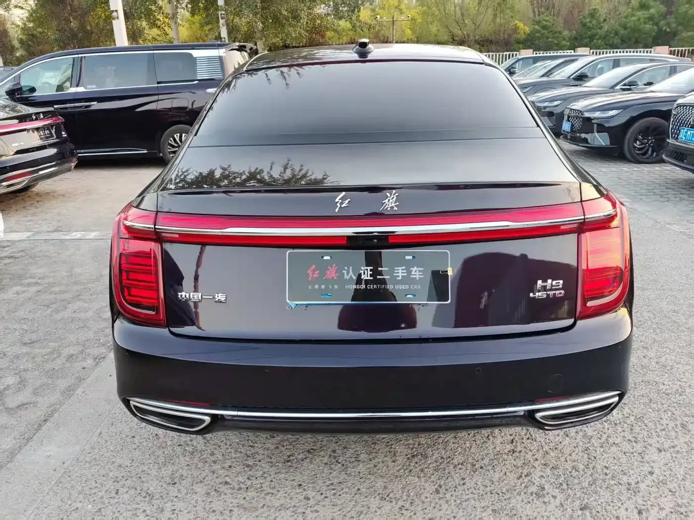 Hongqi H9 2.0T Smart Connection Qi Chang Edition 2022 — фото 11