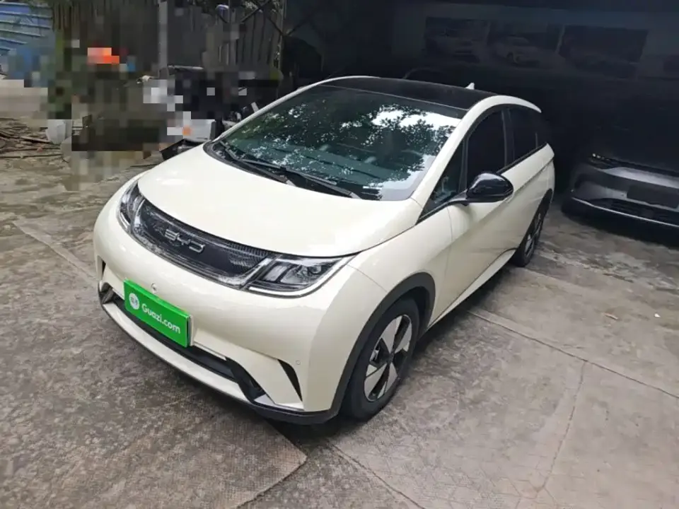BYD Dolphin 420km Fashion Edition 2023
