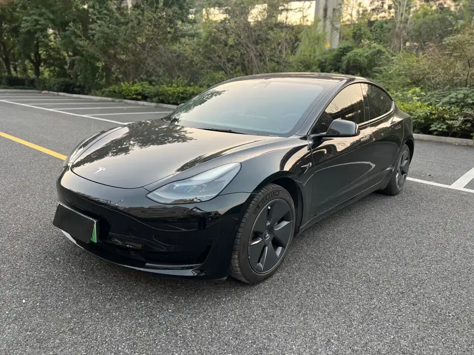 Tesla Model 3 Standard Range Rear-Wheel Drive Upgrade 2021