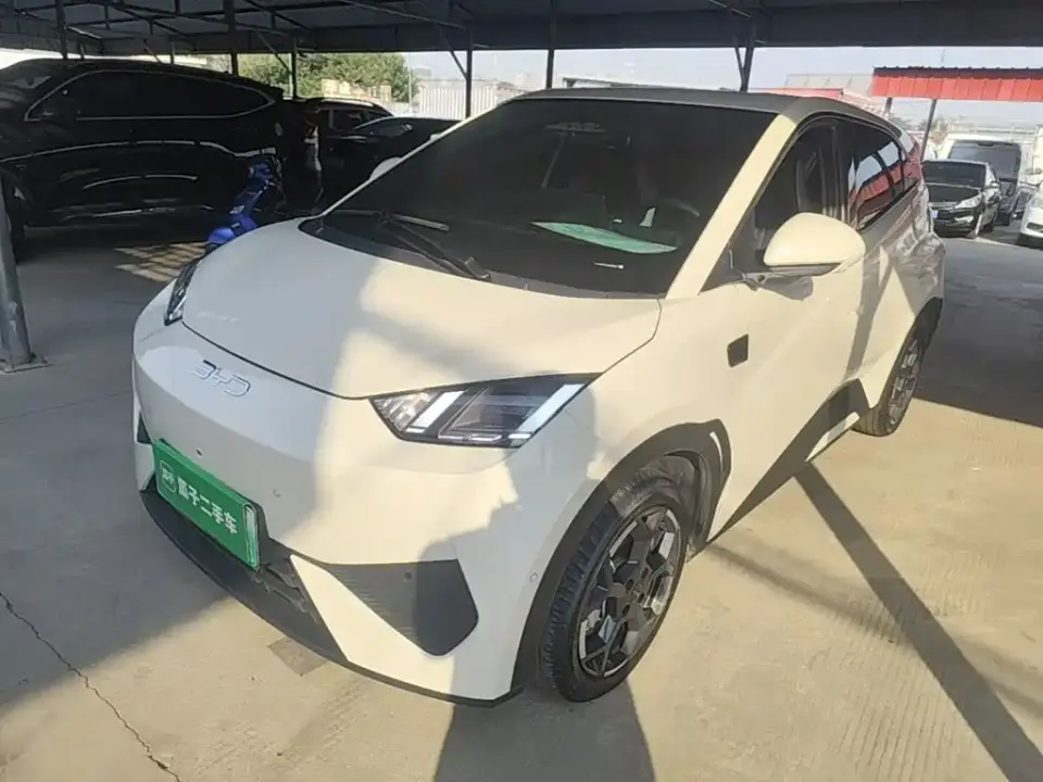 BYD Seagull Smart Drive Edition 305km Freedom Version 2025