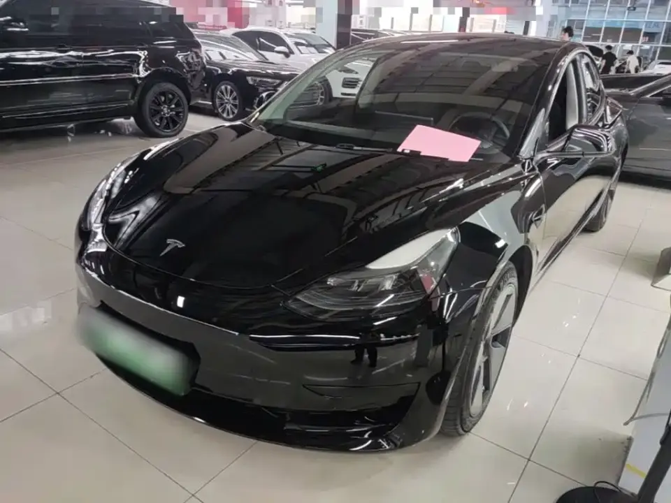 Tesla Model 3 Standard Range Rear-Wheel Drive Upgrade 3D6 2021