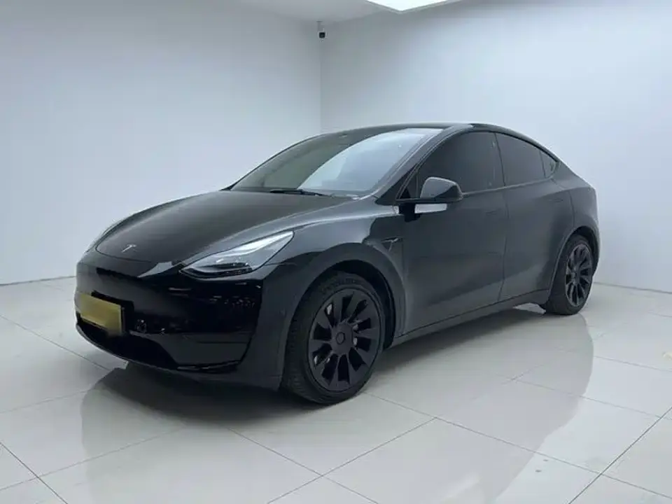 Tesla Model Y Rear-Wheel Drive Version 2022