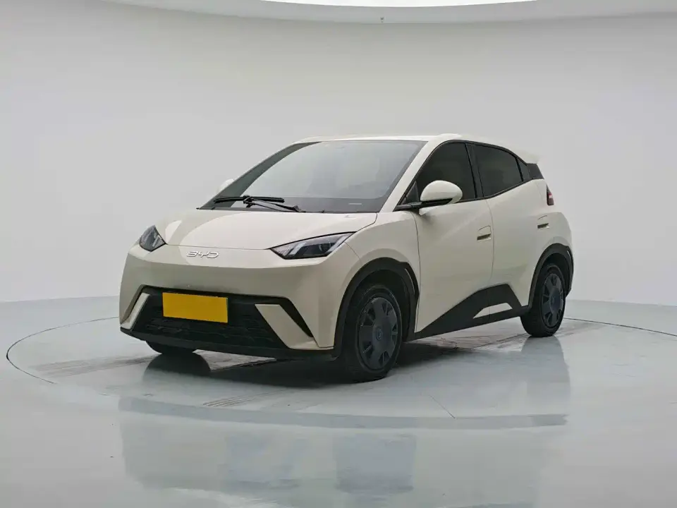 BYD Seagull Glory Edition 305km Vitality Edition 2025