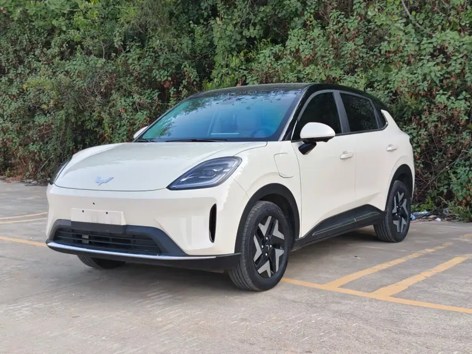 Wuling Motors Wuling Bingo S Model 325km Flagship Edition 2025