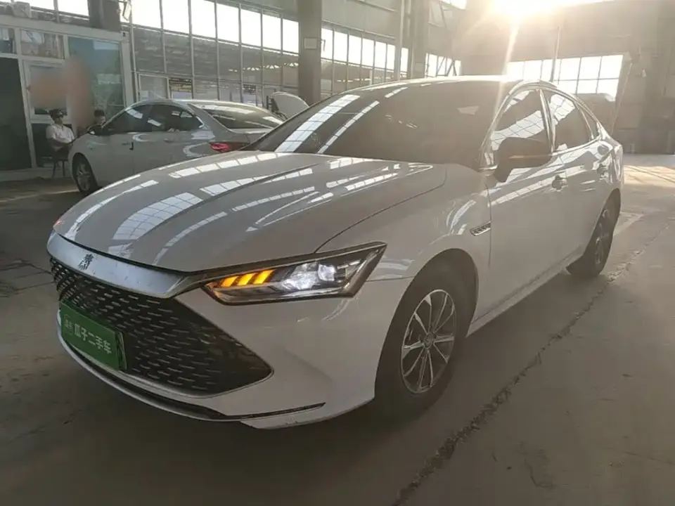 BYD Qin PLUS Glory Edition DM-i 55KM Leading 2024