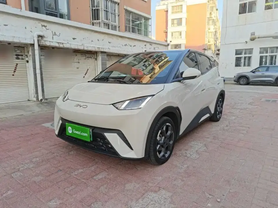 BYD Seagull Glory Edition 305km Freedom Edition 2024