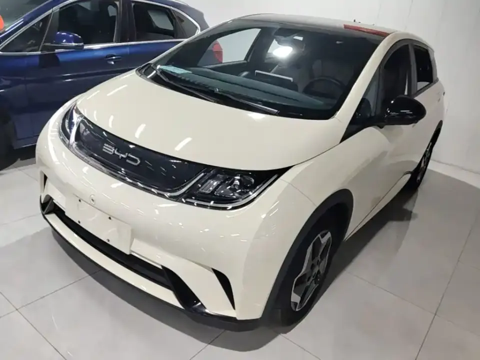BYD Dolphin Model 405km Fashion Edition 2023