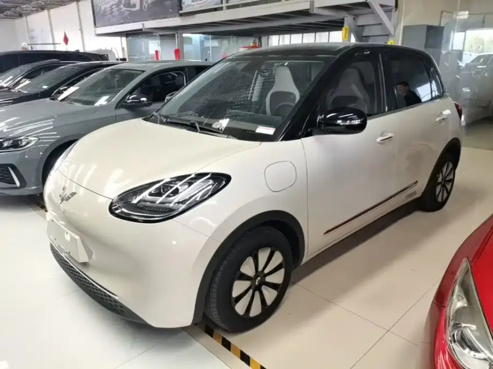Wuling Motors Wuling Bingo 410km Lingxi Premium Edition 2023