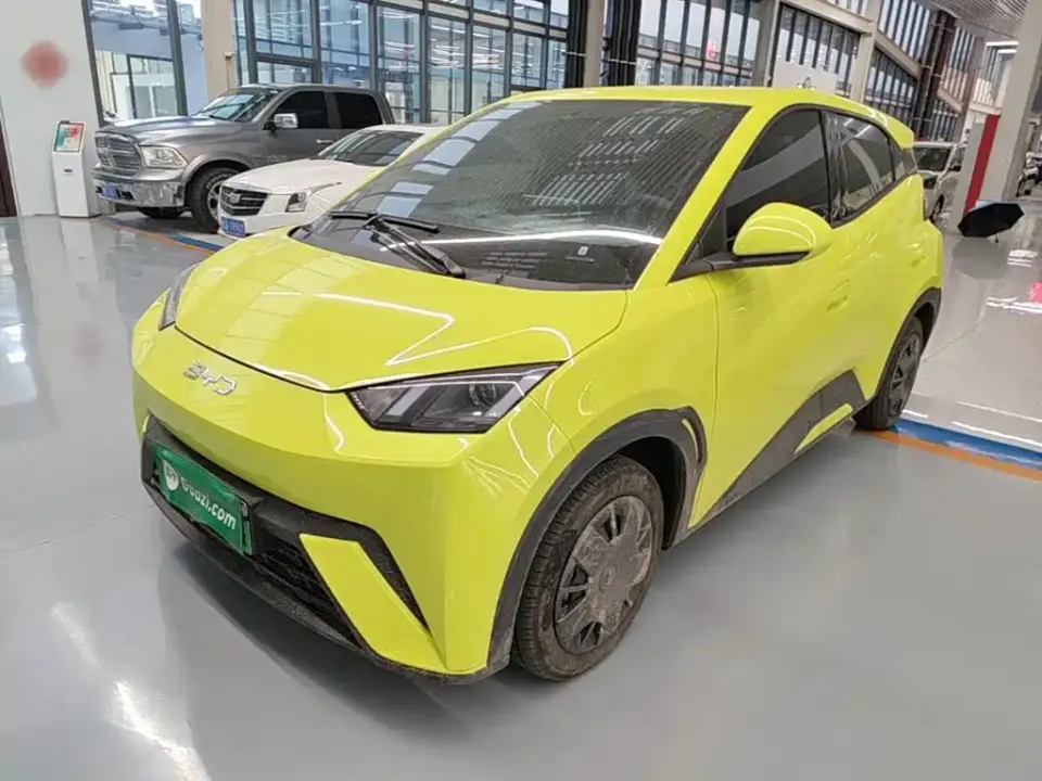BYD Seagull Glory Edition 305km Vitality Edition 2024