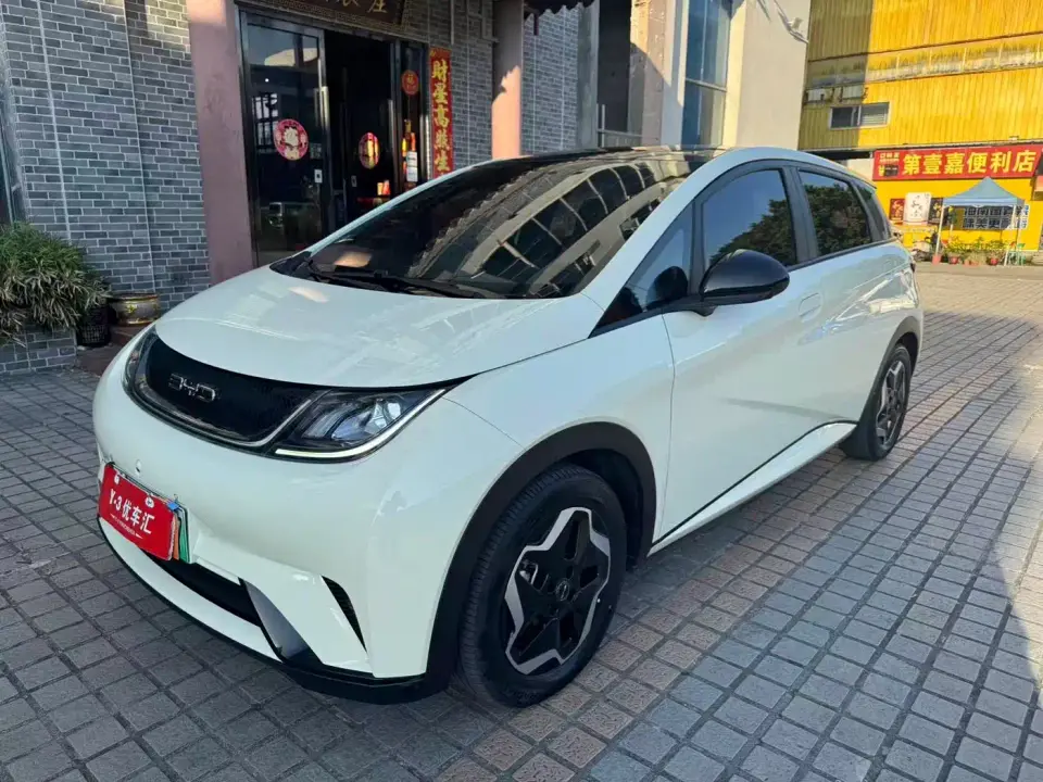 BYD Dolphin Model 405km Fashion Edition 2023