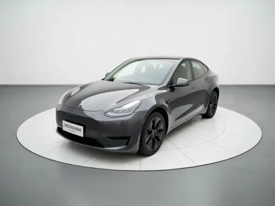 Tesla Model Y Rear-Wheel Drive Version 2024